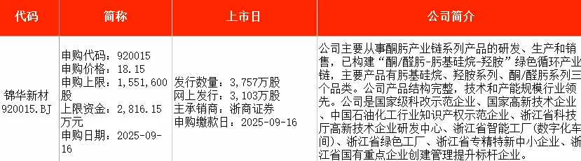 IPO周报｜本周5只新股申购，新能源汽车动力系统龙头来了-第4张图片-