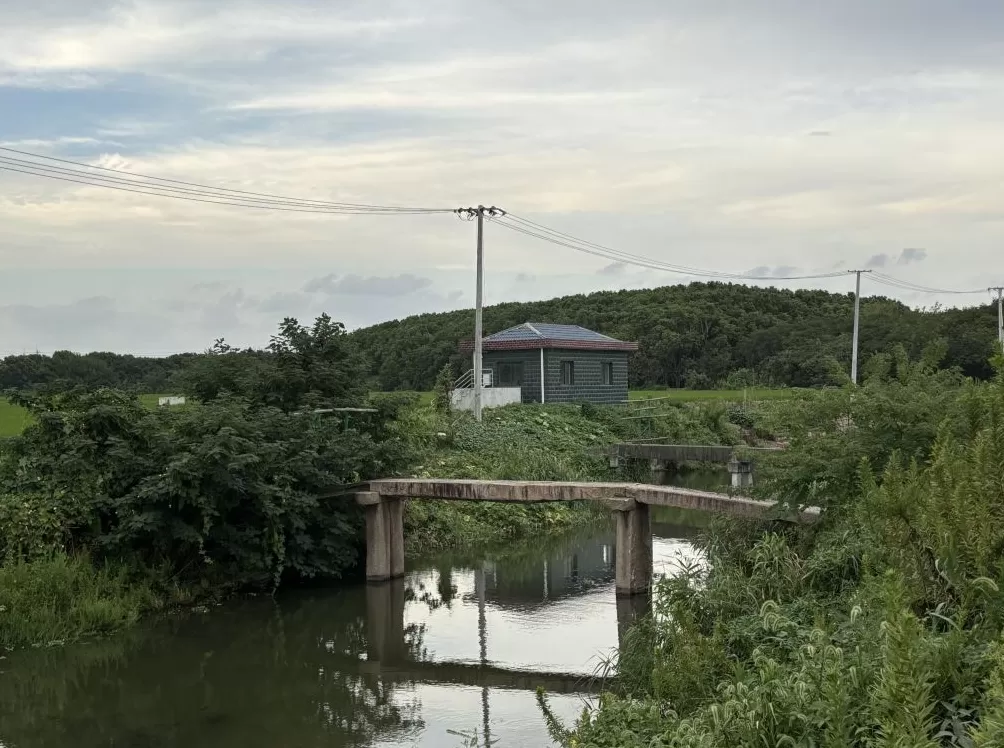 上海周浦6座古桥调研：“修古桥”的遗憾和难题-第4张图片-