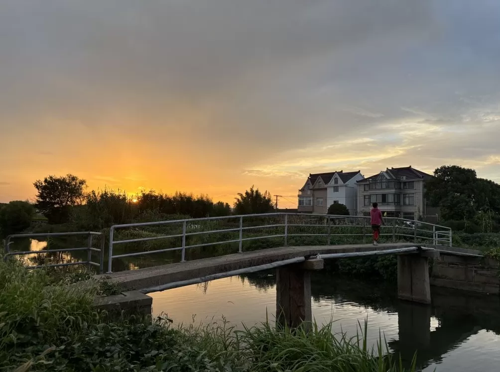 上海周浦6座古桥调研：“修古桥”的遗憾和难题-第5张图片-