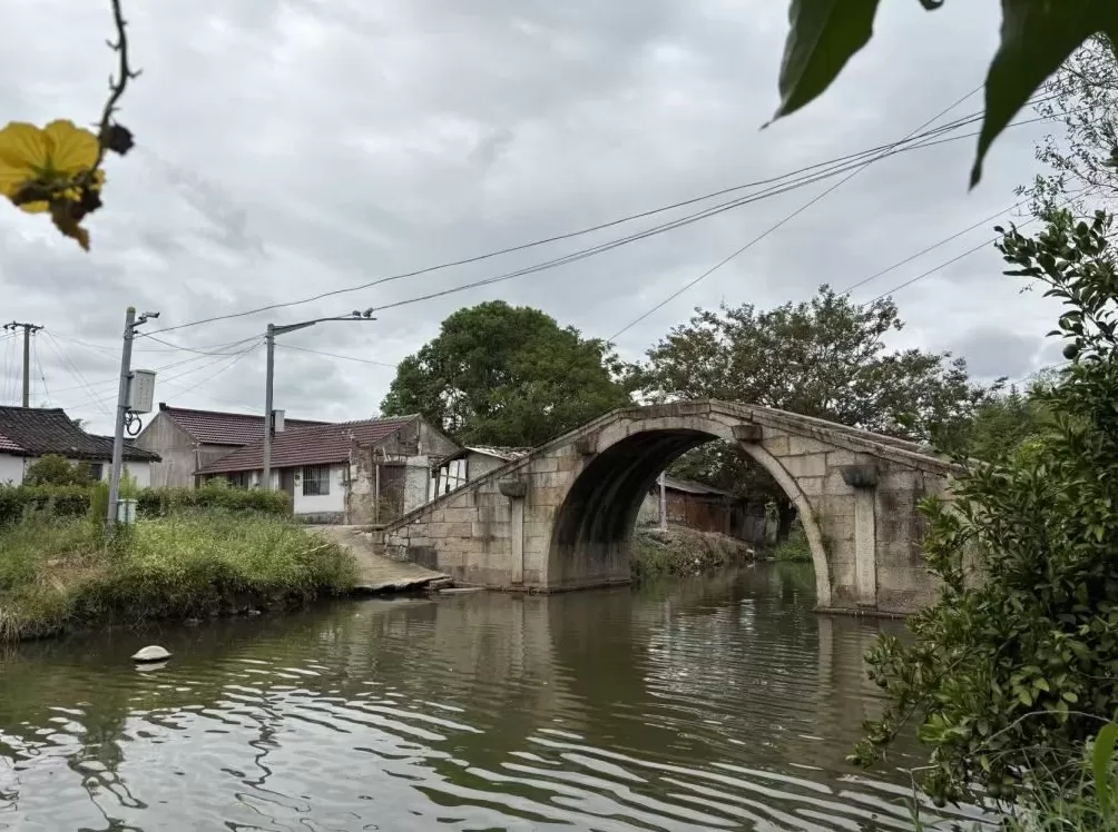 上海周浦6座古桥调研：“修古桥”的遗憾和难题-第7张图片-
