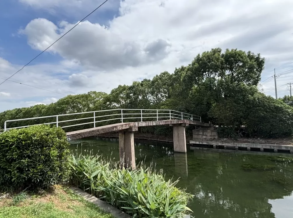 上海周浦6座古桥调研：“修古桥”的遗憾和难题-第6张图片-