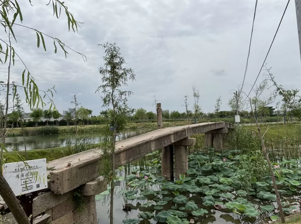 上海周浦6座古桥调研：“修古桥”的遗憾和难题-第8张图片-