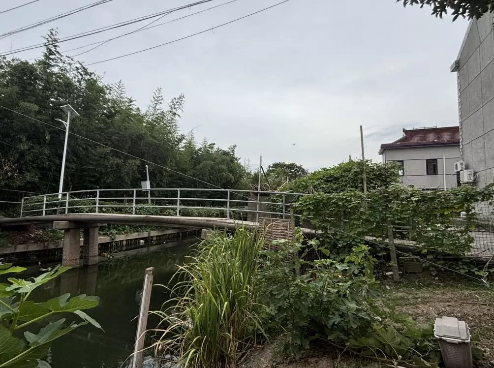 上海周浦6座古桥调研：“修古桥”的遗憾和难题-第9张图片-