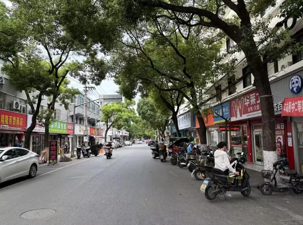 上海周浦6座古桥调研：“修古桥”的遗憾和难题-第11张图片-