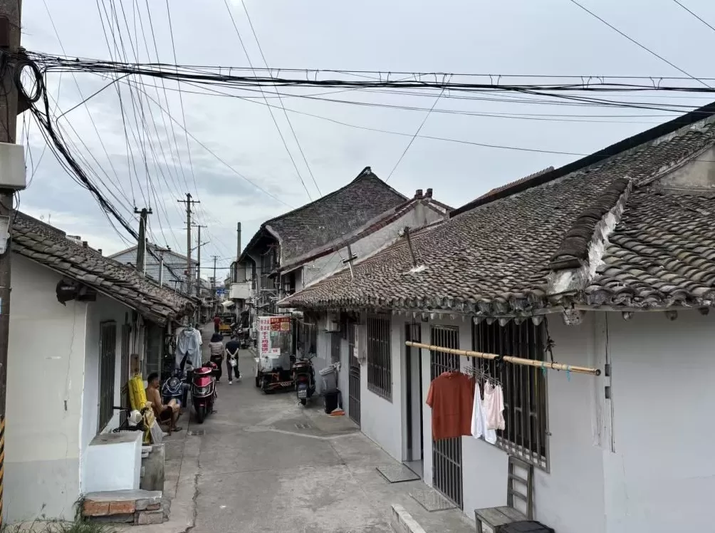 上海周浦6座古桥调研：“修古桥”的遗憾和难题-第10张图片-