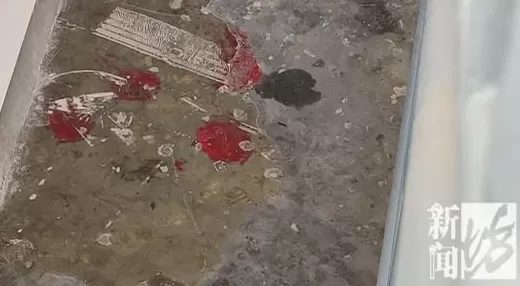 上海女子崩溃：男邻居在楼道内便溺，还在公共区域洗澡！居委会很为难-第4张图片-