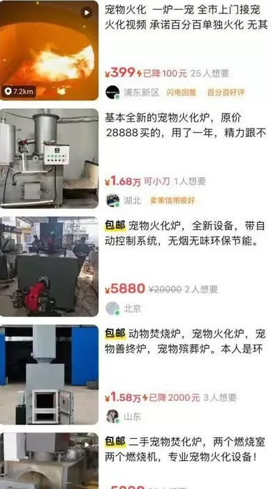 焚化炉送上门！还可遗体告别、骨灰寄存，宠物殡葬需求在上海激增-第2张图片-