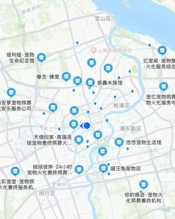 焚化炉送上门！还可遗体告别、骨灰寄存，宠物殡葬需求在上海激增-第3张图片-