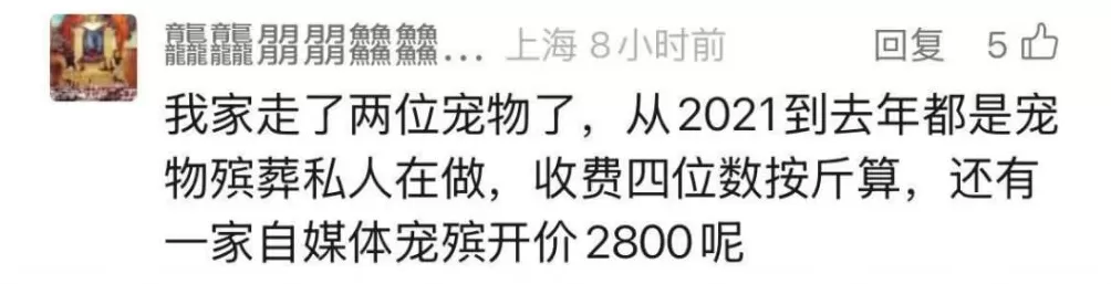 焚化炉送上门！还可遗体告别、骨灰寄存，宠物殡葬需求在上海激增-第11张图片-