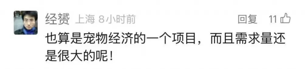 焚化炉送上门！还可遗体告别、骨灰寄存，宠物殡葬需求在上海激增-第10张图片-