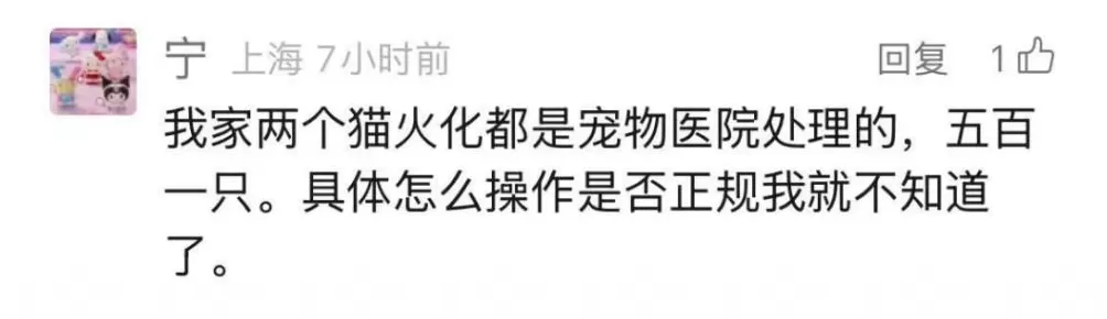 焚化炉送上门！还可遗体告别、骨灰寄存，宠物殡葬需求在上海激增-第13张图片-