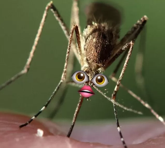 为啥你总被蚊子咬？研究表明，这些生活习惯会让你成为“蚊子的香饽饽”！-第2张图片-