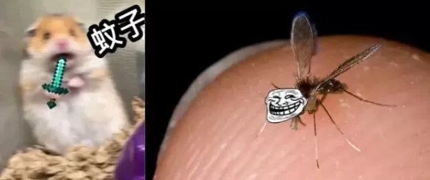 为啥你总被蚊子咬？研究表明，这些生活习惯会让你成为“蚊子的香饽饽”！-第1张图片-