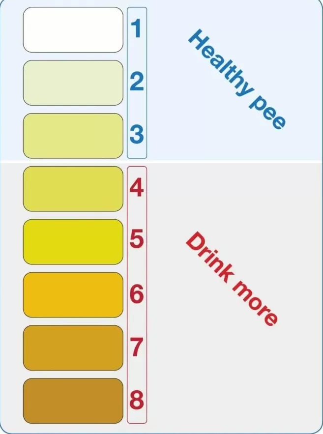 为啥你总被蚊子咬？研究表明，这些生活习惯会让你成为“蚊子的香饽饽”！-第4张图片-