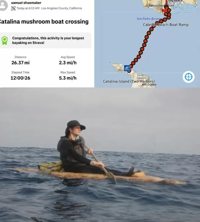 为啥你总被蚊子咬？研究表明，这些生活习惯会让你成为“蚊子的香饽饽”！-第5张图片-