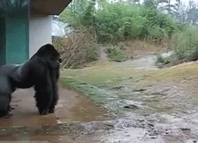 你的屁股可能已经死了！屁股：或许我还能再抢救一下-第2张图片-