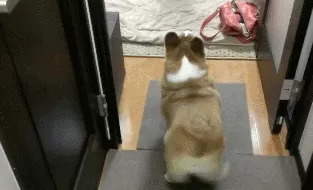 你的屁股可能已经死了！屁股：或许我还能再抢救一下-第4张图片-