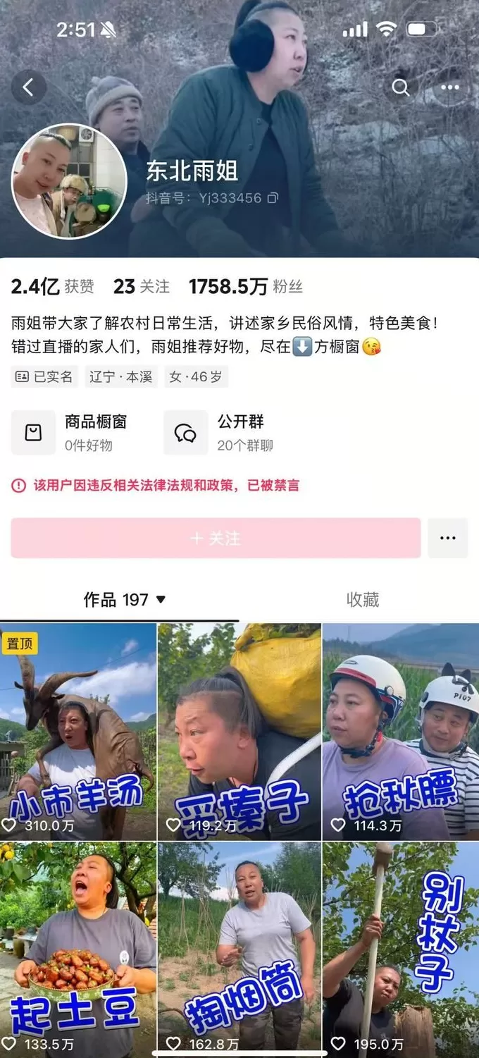 未缴纳罚款,“东北雨姐”带货红薯粉厂商被强制执行671万元-第2张图片- 未缴纳罚款,“东北雨姐”带货红薯粉厂商被强制执行671万元-第2张图片-