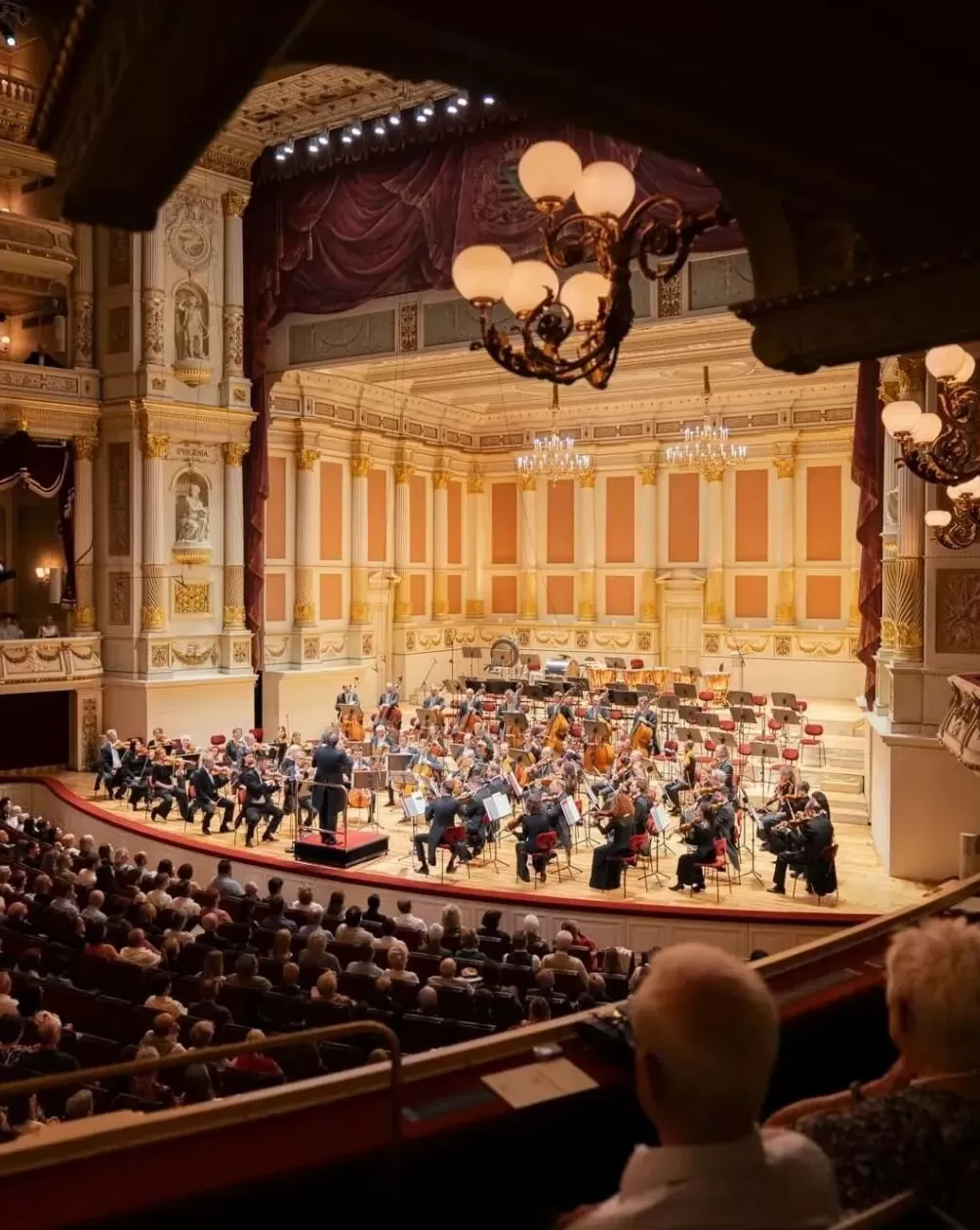 “柏林爱乐在上海”金秋归来，今日开票五成观众来自沪外-第8张图片-