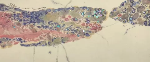 上海非遗文化亮相卡萨布兰卡-第6张图片- 上海非遗文化亮相卡萨布兰卡-第6张图片-