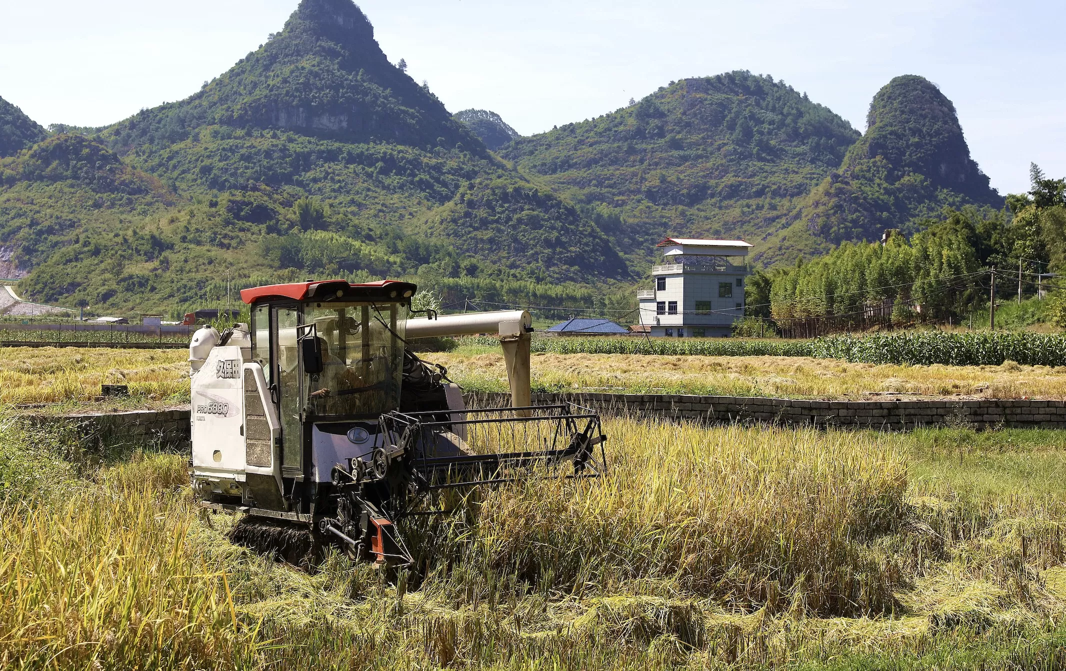 农业农村部：我国人均粮食占有量达到500公斤，粮食安全有保障-第1张图片-