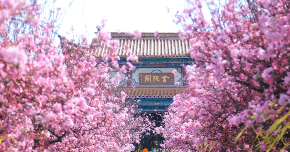 昆明一陵园违法占用集体土地建墓穴，被自然资源部门罚91万-第1张图片-