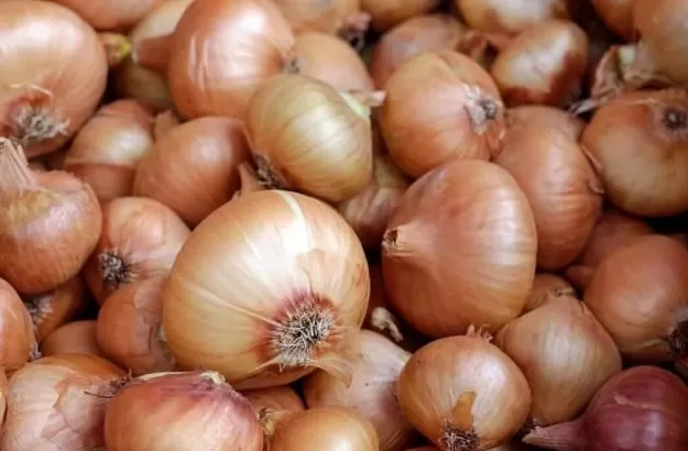 与其围观“预制菜争论”，不如在家做饭，学会食材预处理-第4张图片-