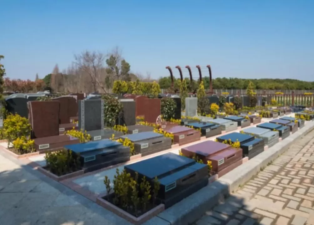 年轻人连墓地都不想买了?殡葬茅台神话崩塌-第3张图片- 年轻人连墓地都不想买了?殡葬茅台神话崩塌-第3张图片-