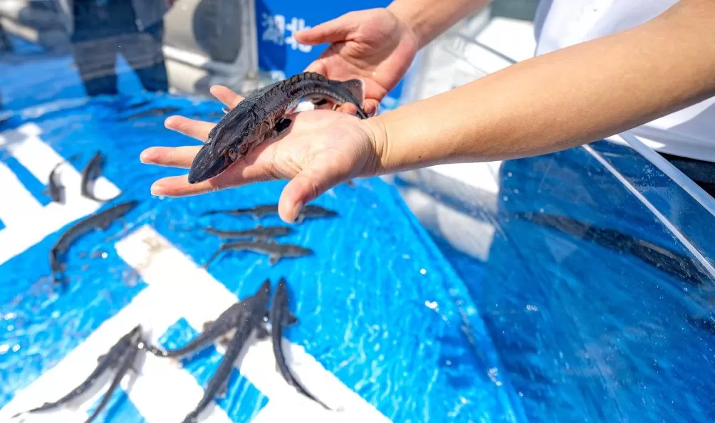 读懂城市|独一无二的宜昌-第4张图片- 读懂城市|独一无二的宜昌-第4张图片-