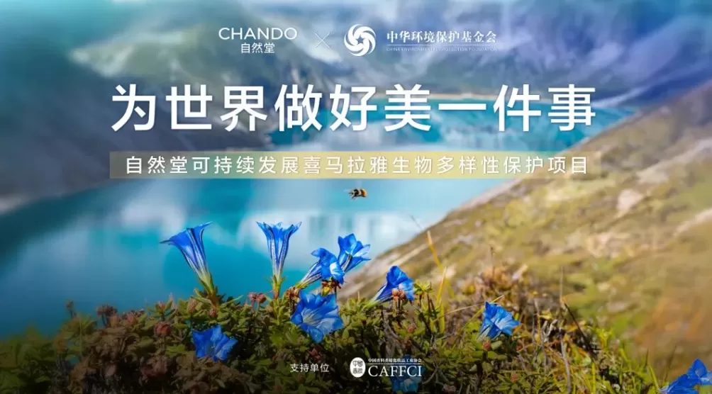 CSR周刊：2025年腾讯“久久公益节”收官，耐克“活力玩乐多功能运动场”为课间十分钟注入更多乐趣-第7张图片-