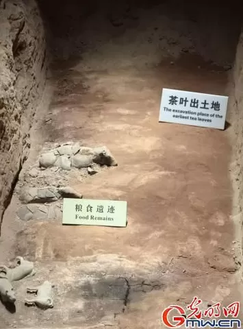 数智文遗陕西行丨从汉室陵阙看昔日文景盛世-第2张图片-