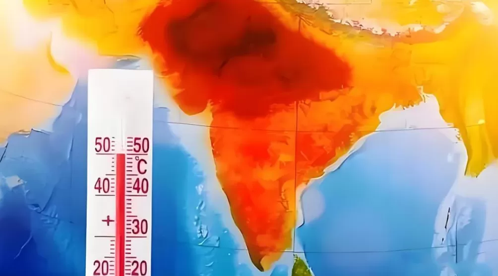 印度人,为什么总喜欢移民加拿大?-第7张图片- 印度人,为什么总喜欢移民加拿大?-第7张图片-