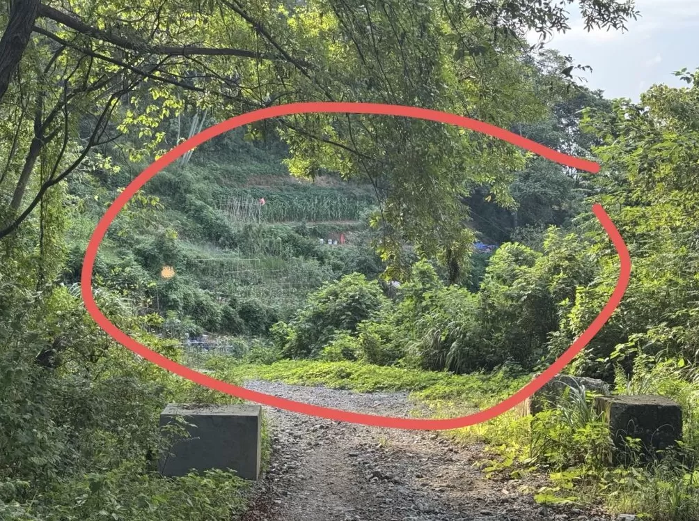 探访52岁女子误触氢氟酸身亡事发地，丈夫：已在老家给妻子办丧事-第1张图片-