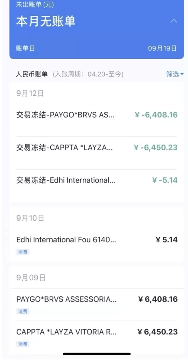 “连续两天被盗刷，银行一笔都没有拦截成功”，浦发银行信用卡遭大规模盗刷背后-第4张图片-