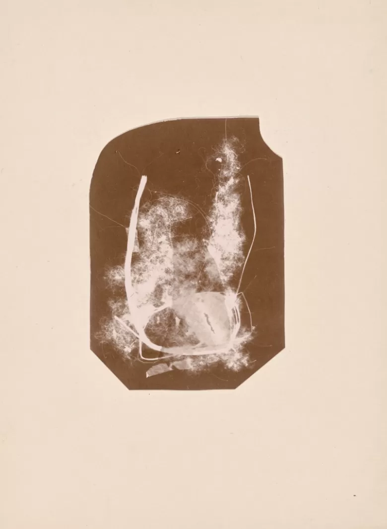 他是个画家，但靠摄影谋生-第5张图片-