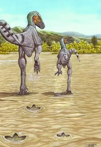 白垩纪兽脚类恐龙奔跑速度可达45千米/小时-第1张图片-