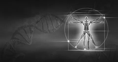 科学家尝试破译达芬奇DNA-第1张图片-