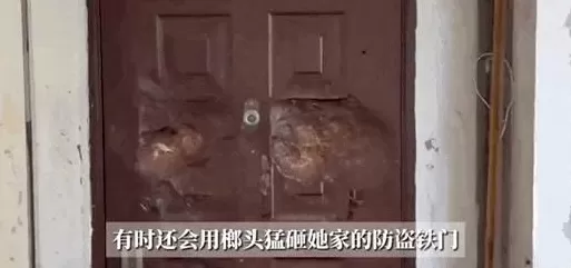 深夜，变态邻居又开始了……-第6张图片-