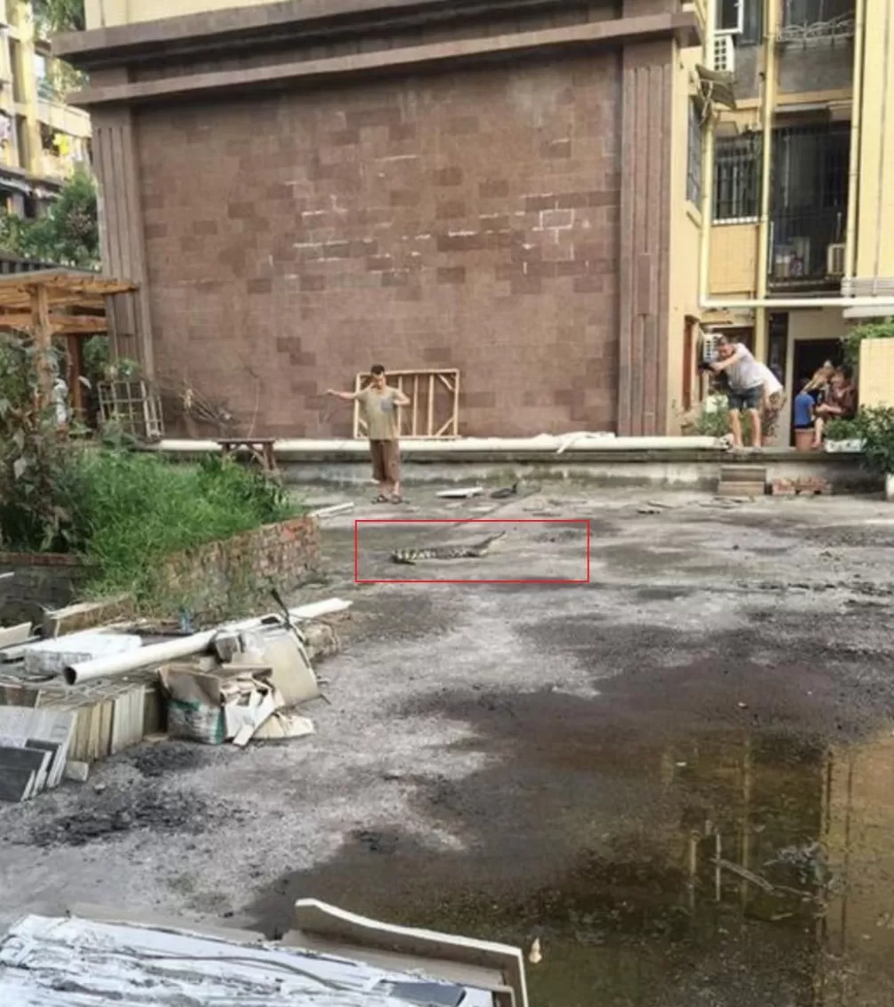 深夜，变态邻居又开始了……-第30张图片-