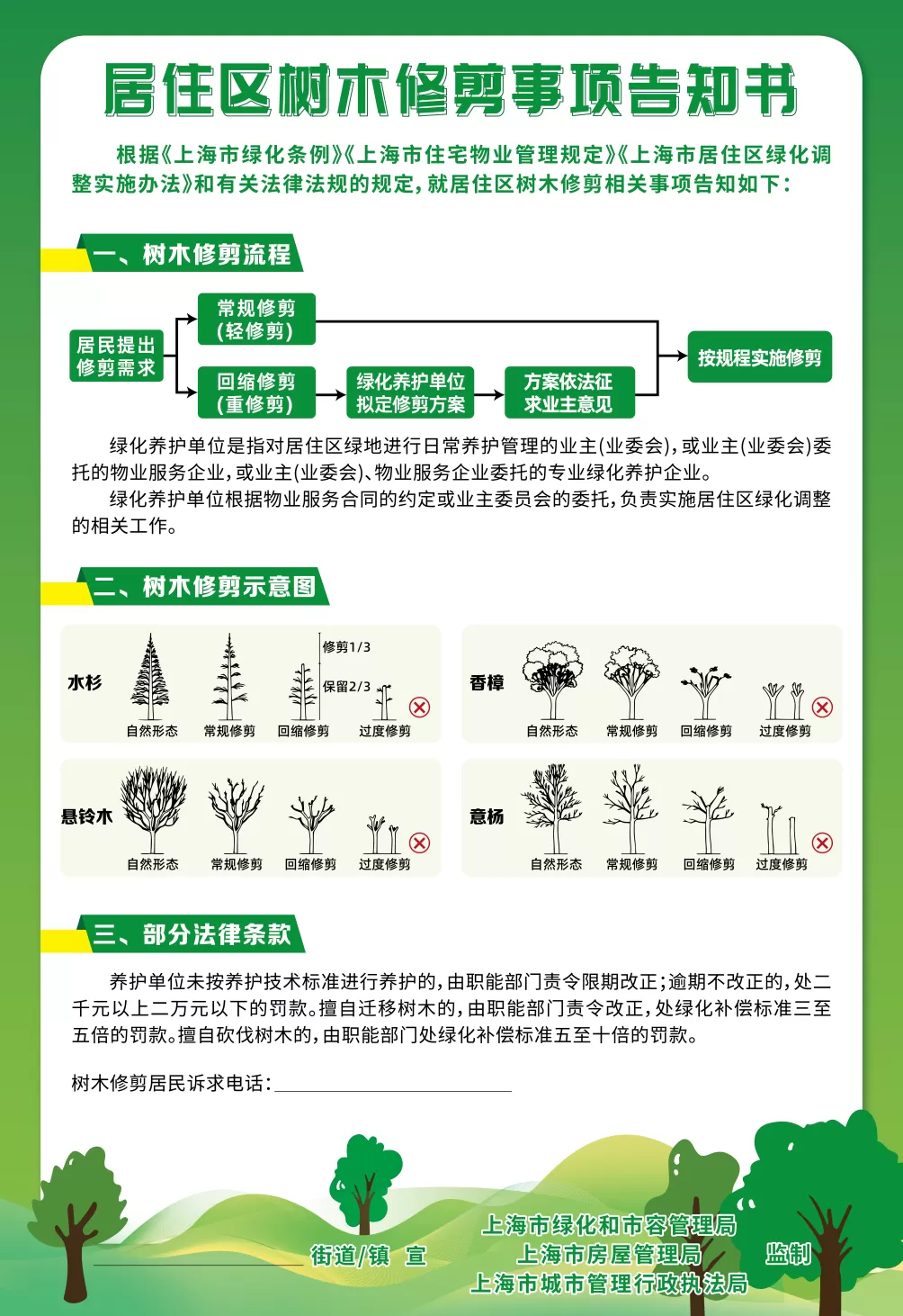 小区树木该怎么修剪？上海鼓励设常规修剪与回缩修剪“样板树”-第1张图片-