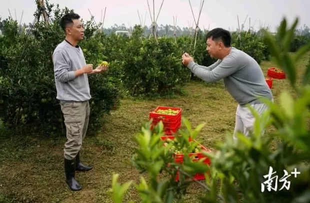 江门四大行动推进“媒体+”，e起助力“百千万”-第3张图片-