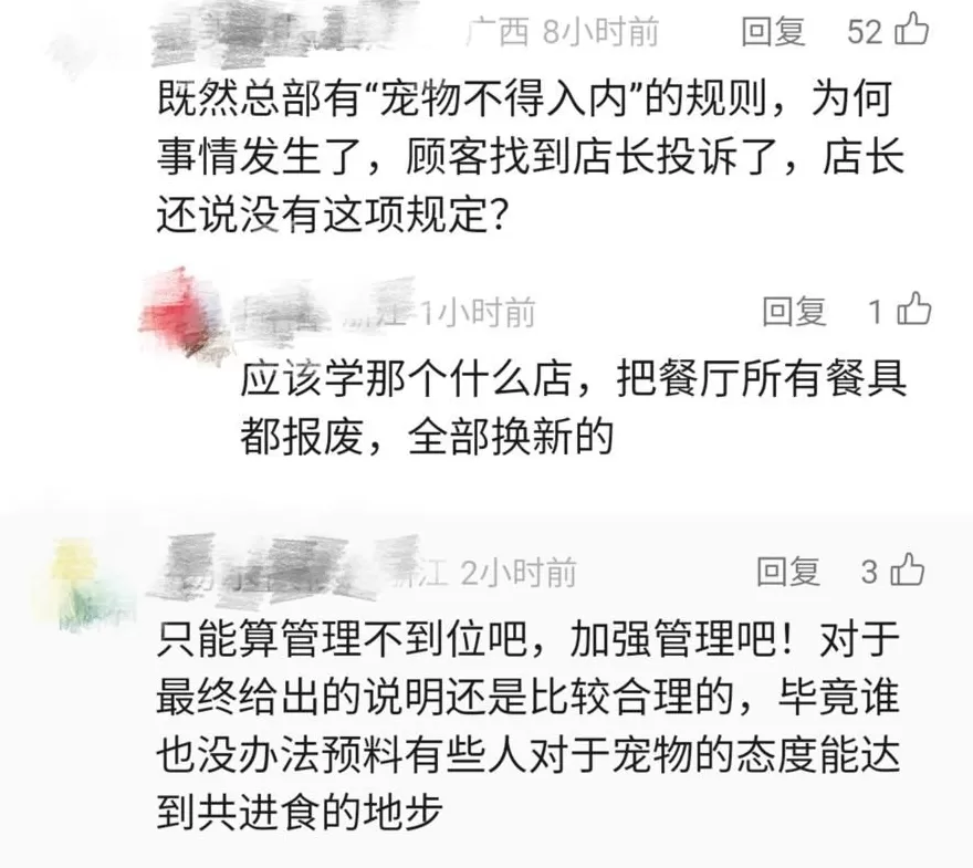 邻桌家长怒了！西贝一食客用公筷喂狗，门店：丢弃涉事餐具、全面消杀-第2张图片-