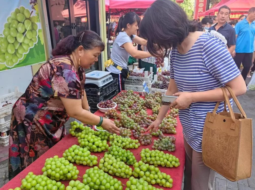 阳光玫瑰因何跌成“地板价”？-第2张图片-