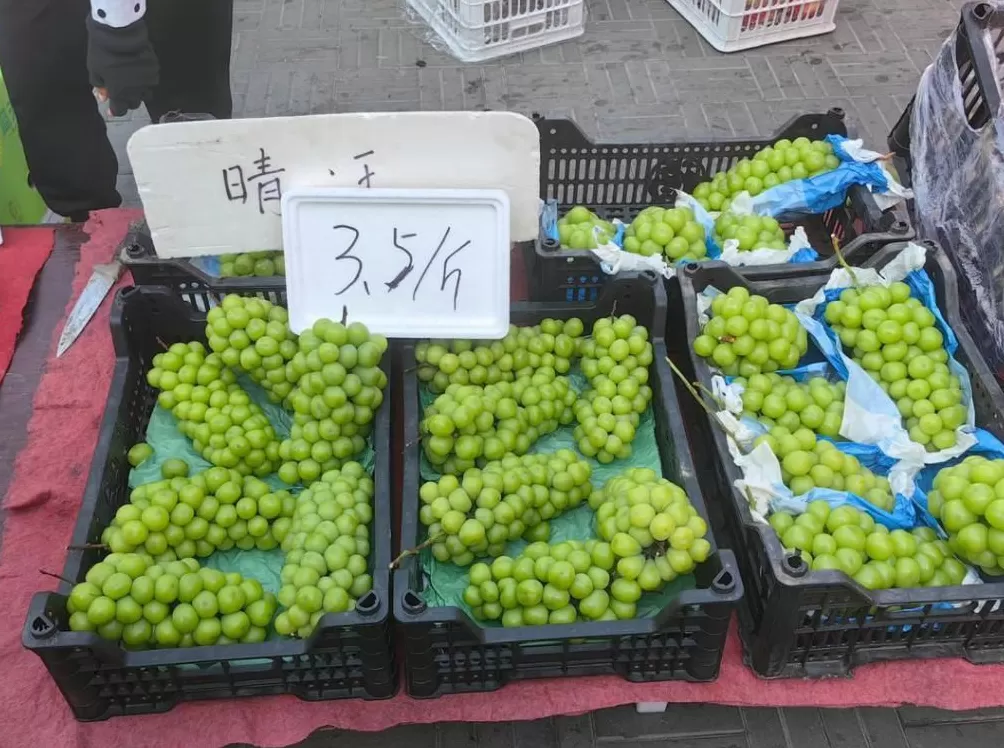 阳光玫瑰因何跌成“地板价”？-第3张图片-