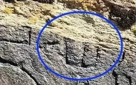 青海秦代石刻官方鉴定为真！古文字学家详解鉴定过程、深远意义和未来谋划-第3张图片-