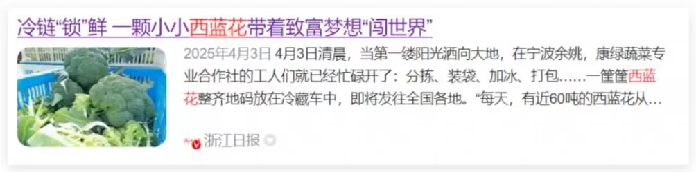 从保质期两年的西兰花说起-第12张图片- 从保质期两年的西兰花说起-第12张图片-