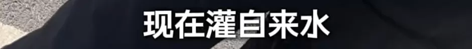 上海知名景区门口有人卖不明饮料,不少游客中招,城管部门已介入调查-第8张图片- 上海知名景区门口有人卖不明饮料,不少游客中招,城管部门已介入调查-第8张图片-