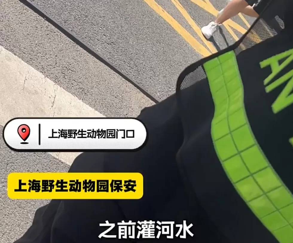 上海知名景区门口有人卖不明饮料,不少游客中招,城管部门已介入调查-第7张图片- 上海知名景区门口有人卖不明饮料,不少游客中招,城管部门已介入调查-第7张图片-