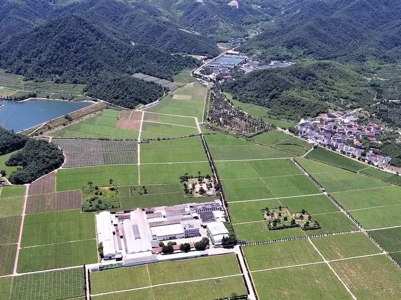 绍兴宋六陵重大考古进展,发现第七号帝后陵!-第2张图片- 绍兴宋六陵重大考古进展,发现第七号帝后陵!-第2张图片-