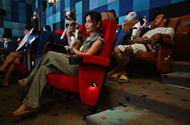 为拉流伦敦电影院“讨好”宠物,狗狗可免票陪主人看电影-第1张图片- 为拉流伦敦电影院“讨好”宠物,狗狗可免票陪主人看电影-第1张图片-